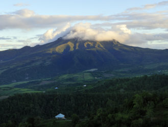 Caribbean Critters: The Volcano Frog