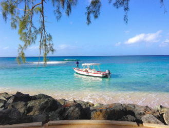 Flying Fish Awaits, If You Can Find It!