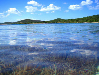 Drift off toward the cosmos...