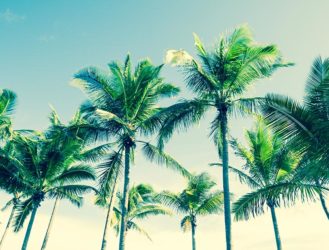 Radio Margaritaville's Hawaii Weekend!