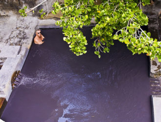 Dip Your Toes into Diamond Falls