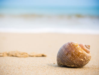 A Very Important Competition