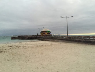 Iguana Point... Not Just for Iguanas!