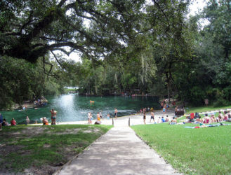 Let's Chill and Grill