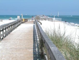 What is This? A Center for Dogs?