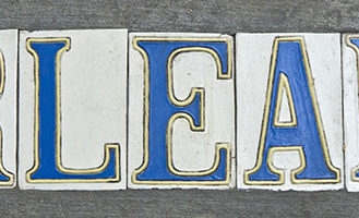 Top 5 critters of a New Orleans swamp tour