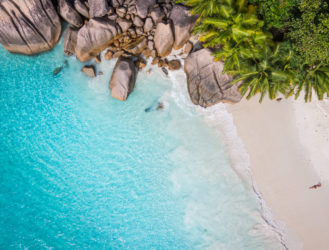 Can't Figure Out Where to go Next? Take the Quiz!