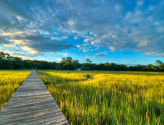 10 Songs To Put You In A Carolina State Of Mind