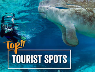 Top 11: Best Tourist Traps in the USA