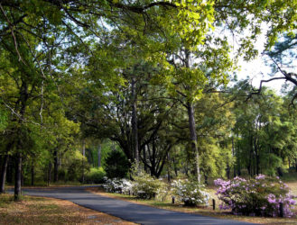 Take A Hike: 4 Southern Sojourns To Check Out