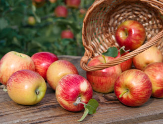 7 Recipes to Make With All Those Apples You Picked Last Weekend