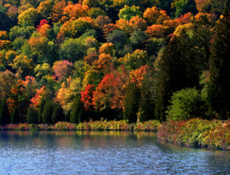 Beyond Be-Leaf! The Best Fall Foliage Destinations in America