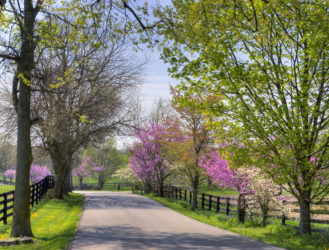 Hot City: Lexington, Kentucky