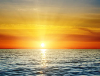 A Thanksgiving Feast of Jimmy Buffett Concerts