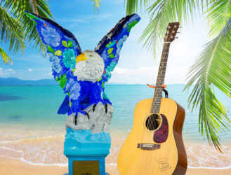 The Eagle Flies on Veterans Day