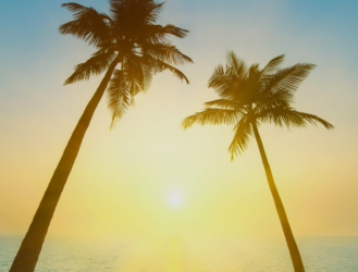 Dive into resort life at Margaritaville Resort Orlando