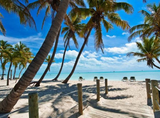 Margaritaville University: Spring Breaking in Key West