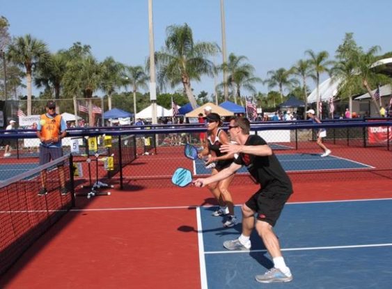 Pickle! An Ace's Guide to Pickleball