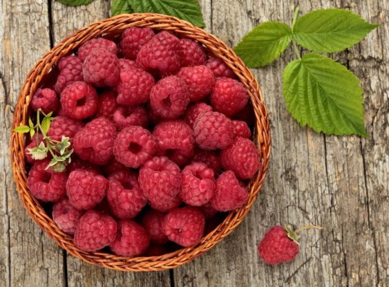 40th Anniversary Raspberry Sponge Cake