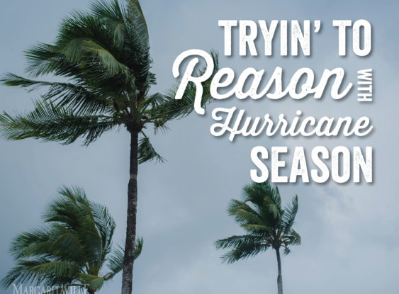 Trying To Reason With Hurricane Season - Still