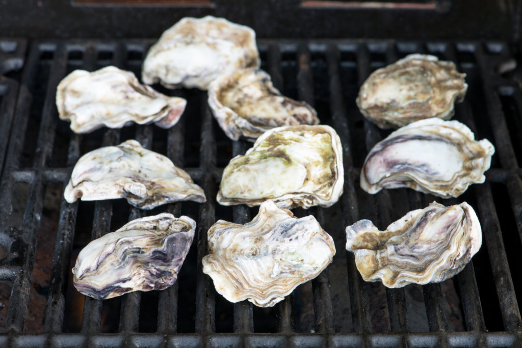 Oysters on cast iron barbecue grill. Margaritaville Blog
