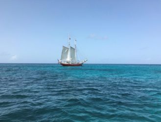 Tryin to Reason with Collegiate Season