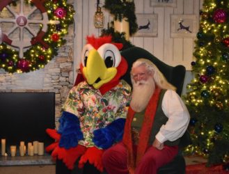 Magical Nights of Lights returns for 27th year of holiday tradition