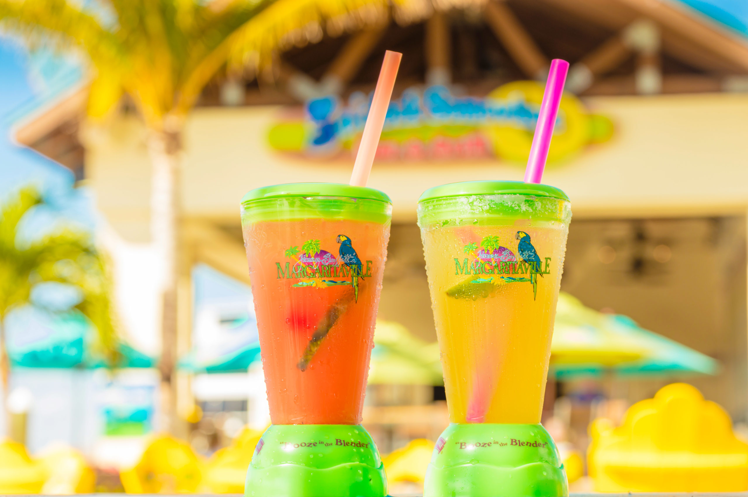 Celebrating National Margarita Day Everyday! Margaritaville Hollywood